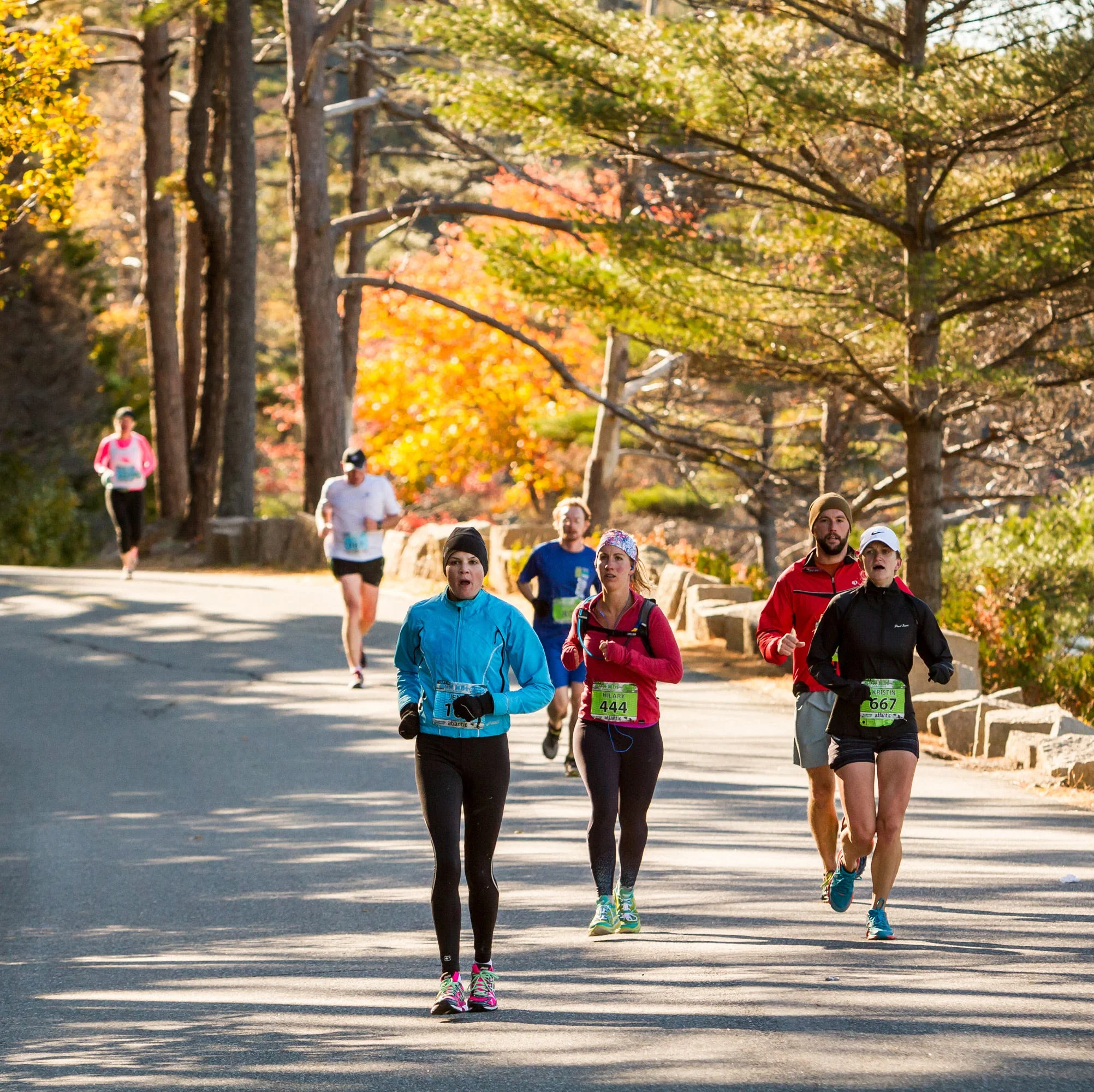mount desert island marathon